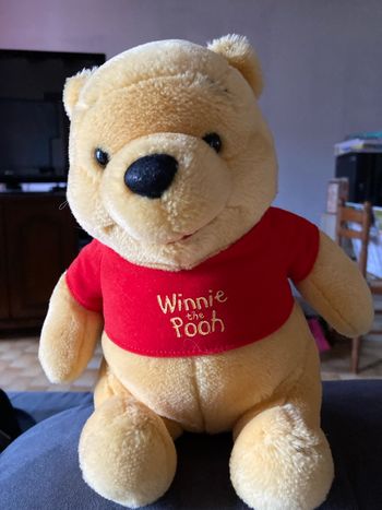 Peluche Winnie the pooh