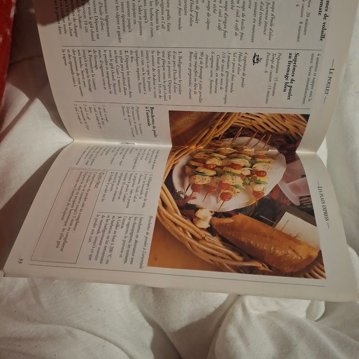 Le poulet recette créative - photo numéro 3