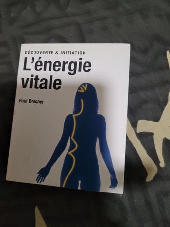 L énergie vitale découverte et initiation