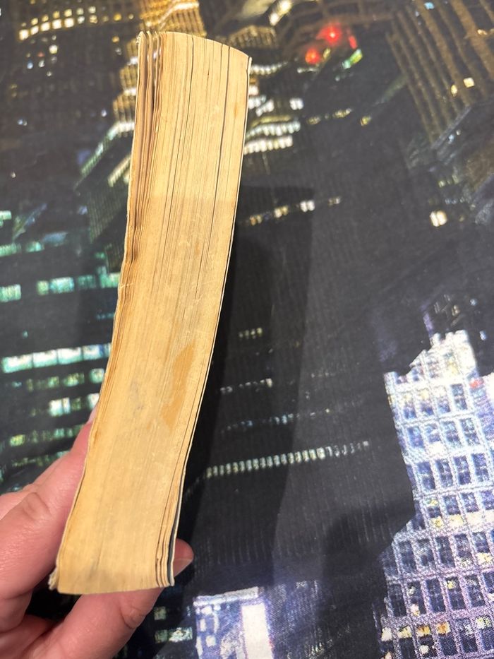 L’ivre l’homme qui valait vivre sa vie - photo numéro 2