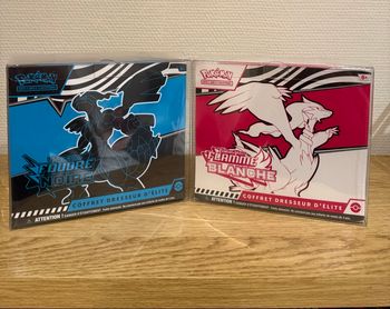 Etb Pokémon flamme blanche et foudre noir + protection