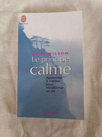 Le principe du calme Paul Wilson. Apprendre à méditer sans transformer sa vie