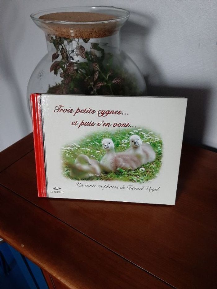 Trois petits cygnes ... et puis s'en vont ...