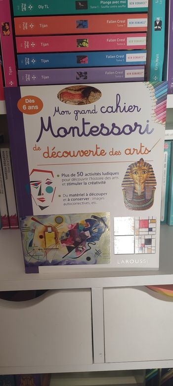 Mon grand cahier Montessori de découverte des arts 