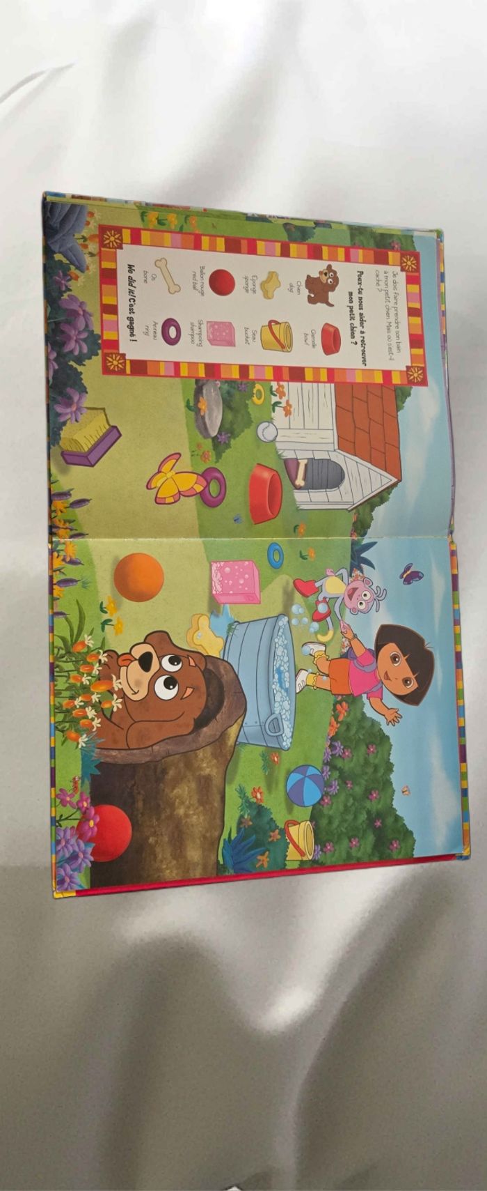 Livre Dora l’exploratrice – Cherche et trouve avec Dora - photo numéro 4