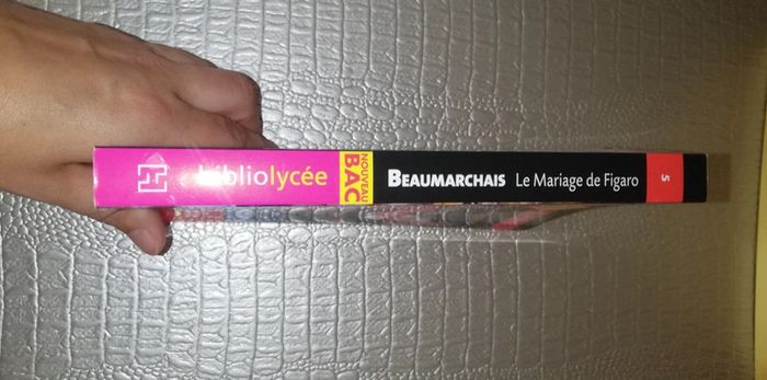 Le mariage de figaro - photo numéro 3