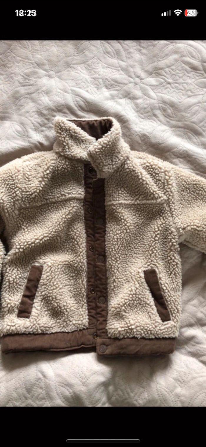 Manteau - photo numéro 4