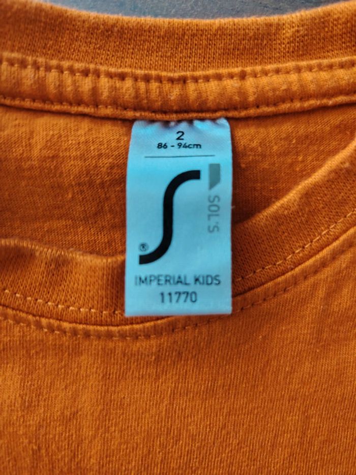 Tee shirt Corse - photo numéro 2