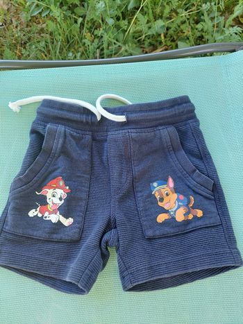 Short Paw Patrol