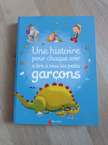 Une histoire pour chaque soir à lire à tous les petits garçons
