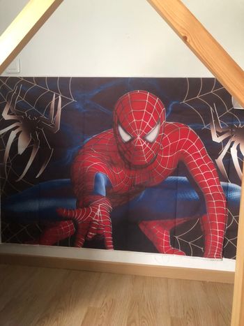 Toile de fond. Spiderman 