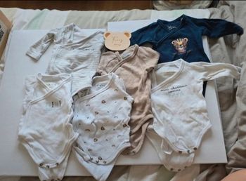 Lot de 6 bodies manches longues taille 3 mois