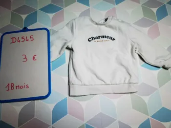 D4545 - pull garçon 18 mois