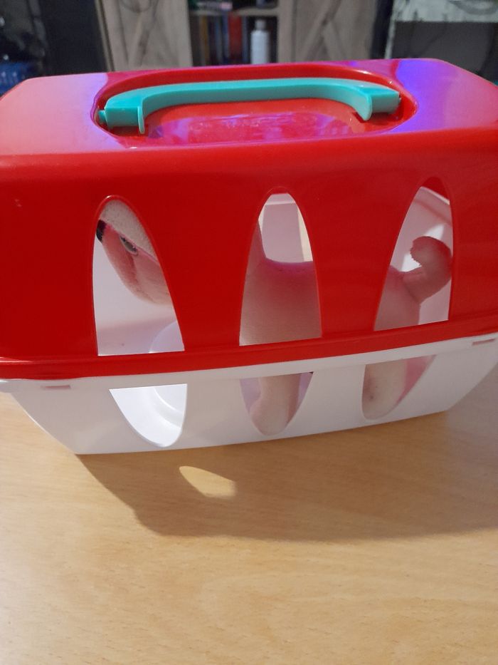 Chien avec caisse de transport - photo numéro 5