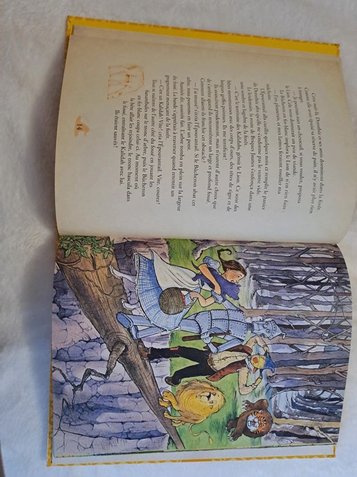 Le magicien d'oz - photo numéro 3