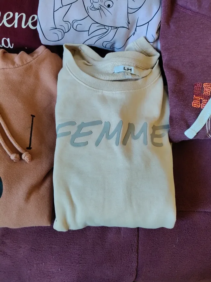lot de deux sweats à capuche et trois sweats taille L(la halle, Disney, bon prix, Jennifer, h&m) - photo numéro 5