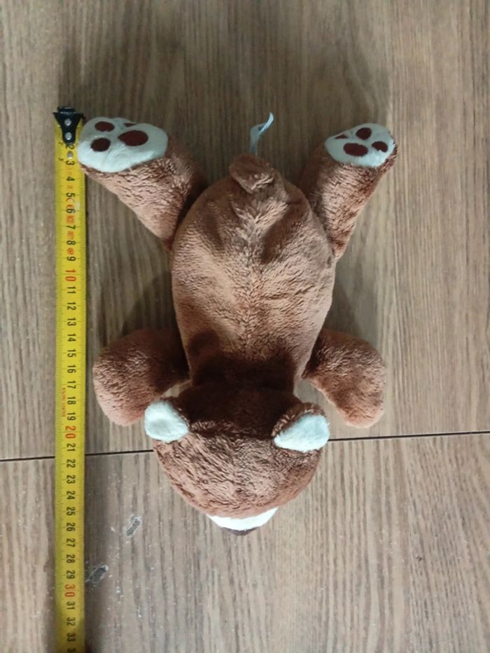 Petit ourson - photo numéro 4