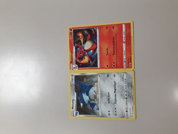Métang + Reptincel lot de 2 cartes Pokémon neuves