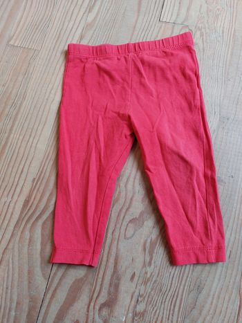 Leggings corail