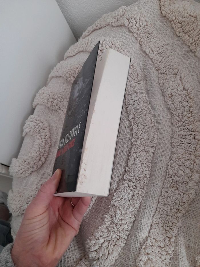 Livre Quand la neige danse de Sonja Delzongle - photo numéro 8
