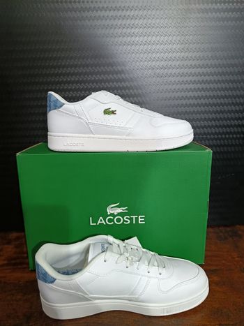 Basket Lacoste 