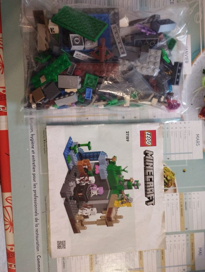 LEGO 21189 Minecraft Le Donjon du Squelette