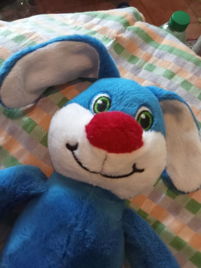 Lapin đ° - photo numĂ©ro 2