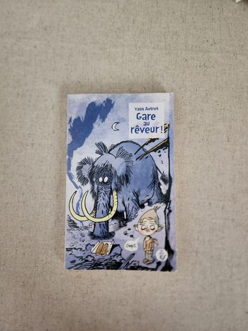 Livre "Gare au rêveur"