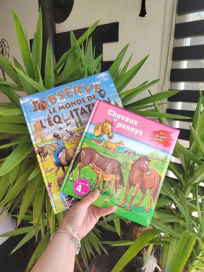 Lot de 2 livres sur les  chevaux pour enfant