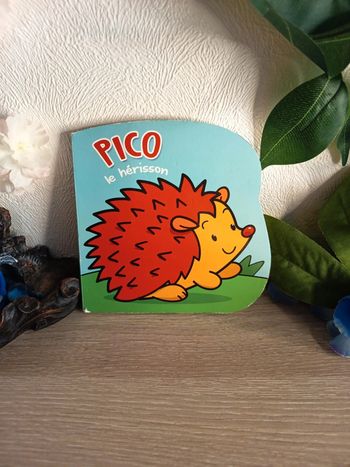 Pico le hérisson 🦔