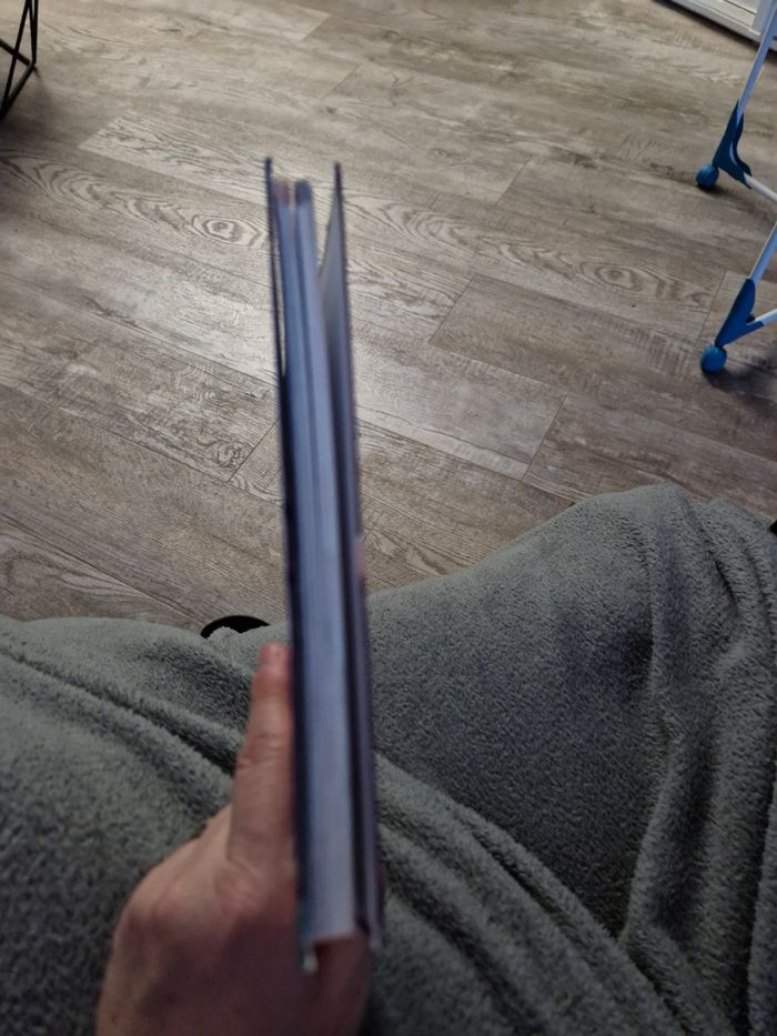Livre  enchantimals au secours de Felicity - photo numéro 5