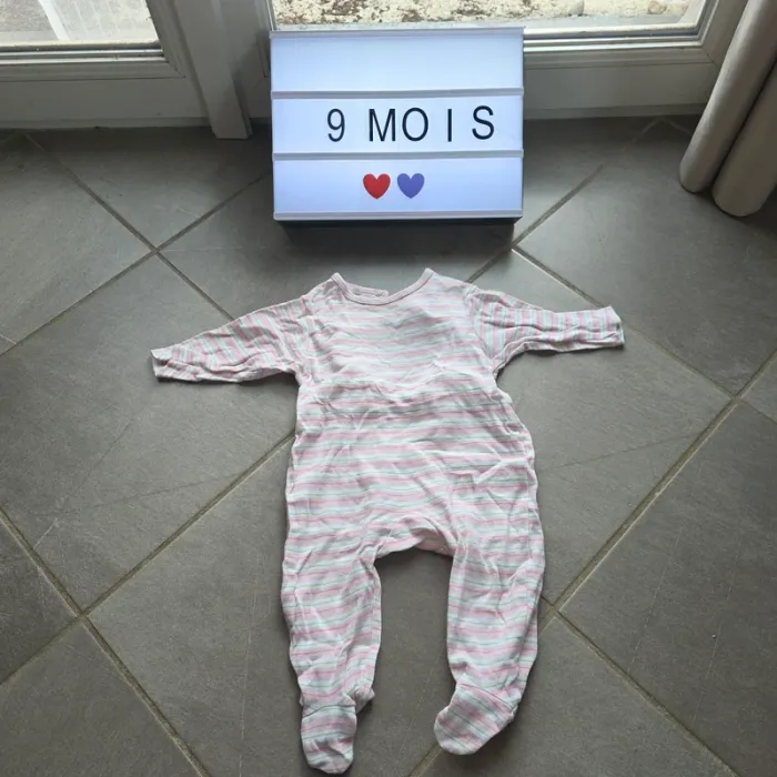 Lot vêtements 9 et 12 mois - photo numéro 12