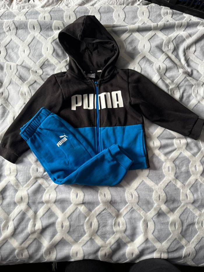 Ensemble puma