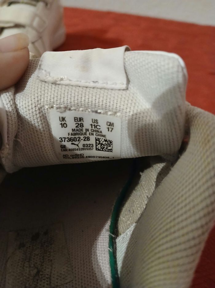 Baskets - photo numéro 3