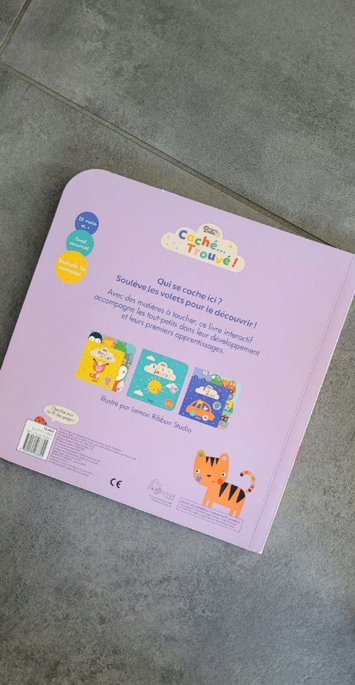 Livre caché trouvé - photo numéro 2