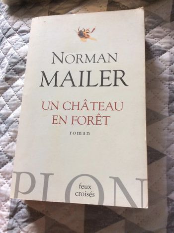 #un château en forêt Norman Mailer