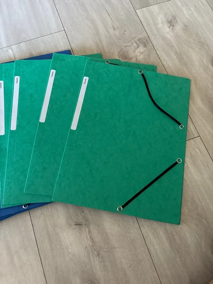 Lot de 9 chemises Lyreco - photo numéro 2
