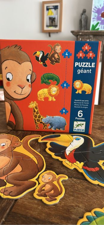 Puzzle Dejco