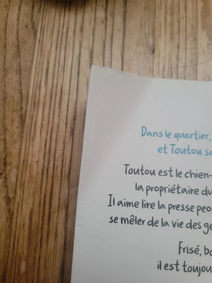 Toutou tout frisé - photo numéro 3