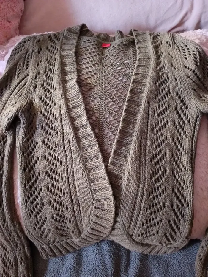 Petit Gilet