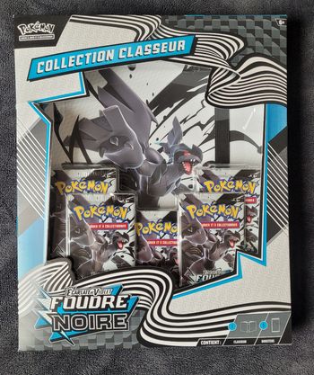 Lot de 2 Coffret classeur collection écarlate et violet