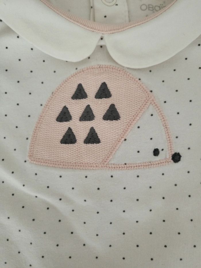 Haut Obaïbi - photo numéro 2