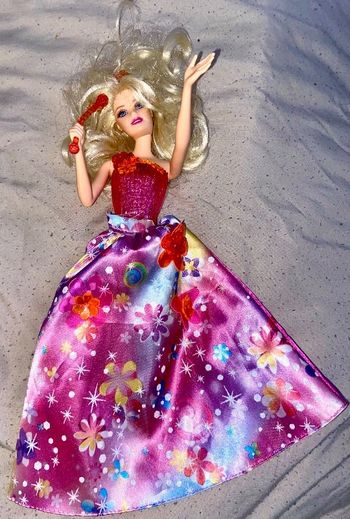 Barbie et la porte des secrets