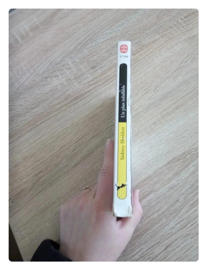 Un plan infaillible, Sidney Sheldon - photo numéro 3