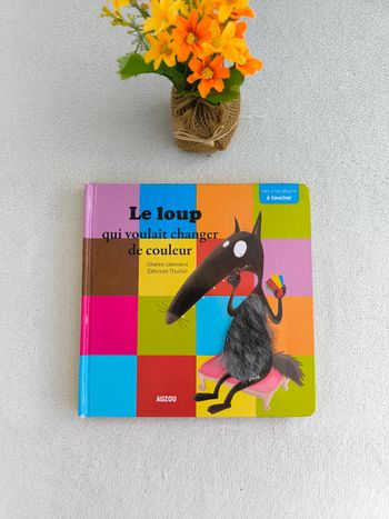 Livre Le loup qui voulait changer de couleur Auzou