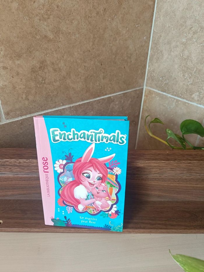 Livre enchantimals - photo numéro 2