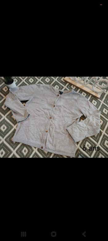 Gilet gris