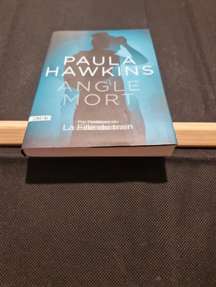 Angle mort - Paula Hawkins - photo numéro 2