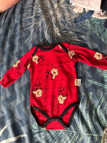 Bodie mixte coccinelle