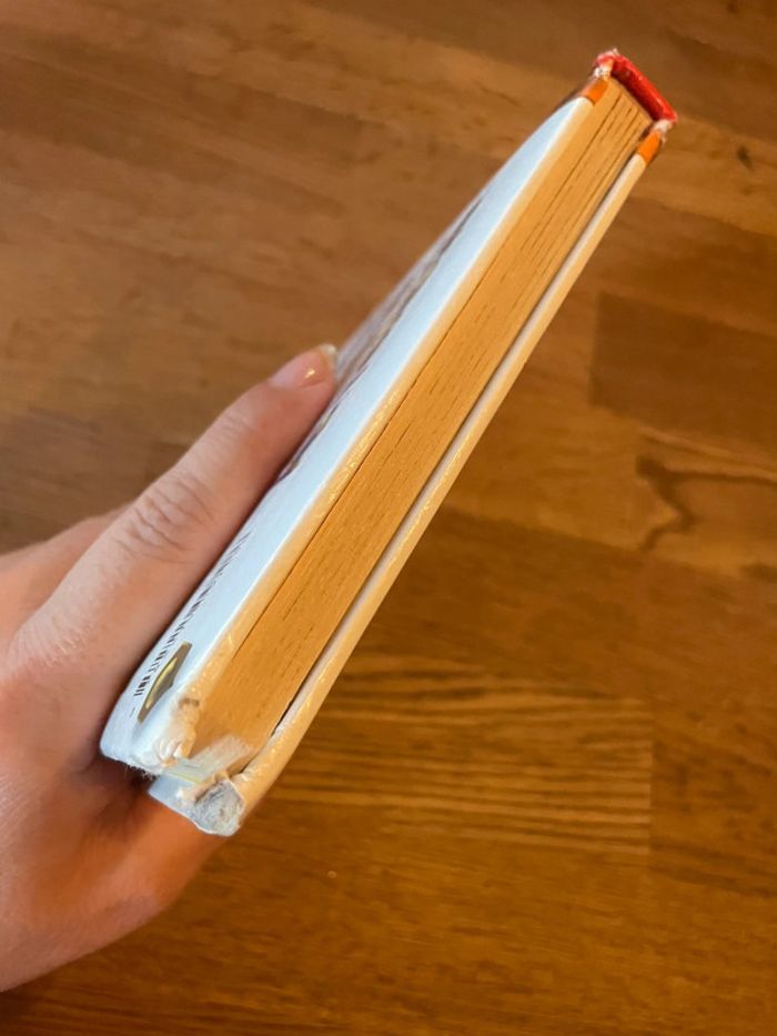 Livre P’tit garçon La tractopelle d’Axel Numéro 10 - photo numéro 6